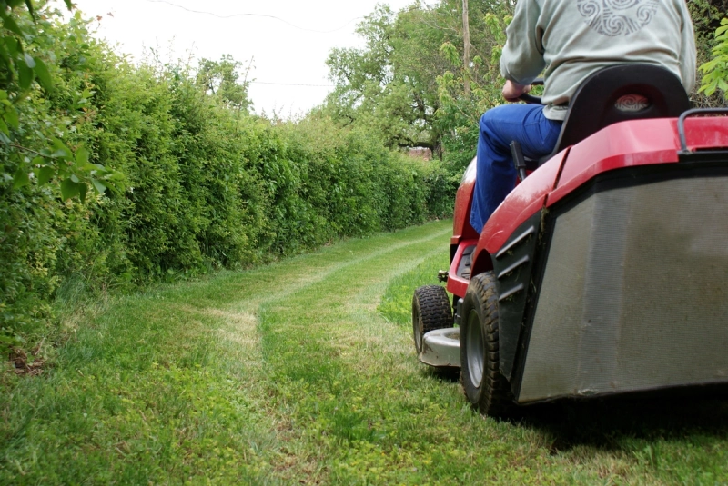 Comment bien tondre sa pelouse sur un très grand terrain avec une tondeuse tracteur